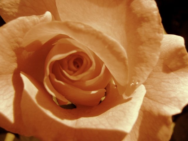 [NÅ kÃ©nt+Ã©bred+1.jpg]