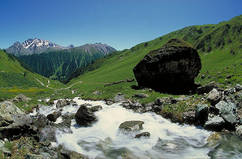 El bloque errático Alpstein y un arroyo alpino en Samnaun, Grisones