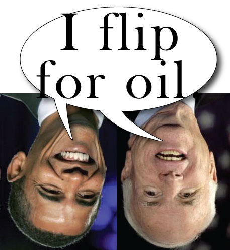 [oil_flip.jpg]