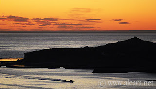 Whale Watching Sunset time