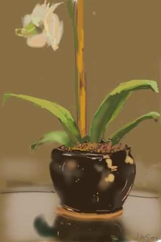 [Flowerpot.JPG]