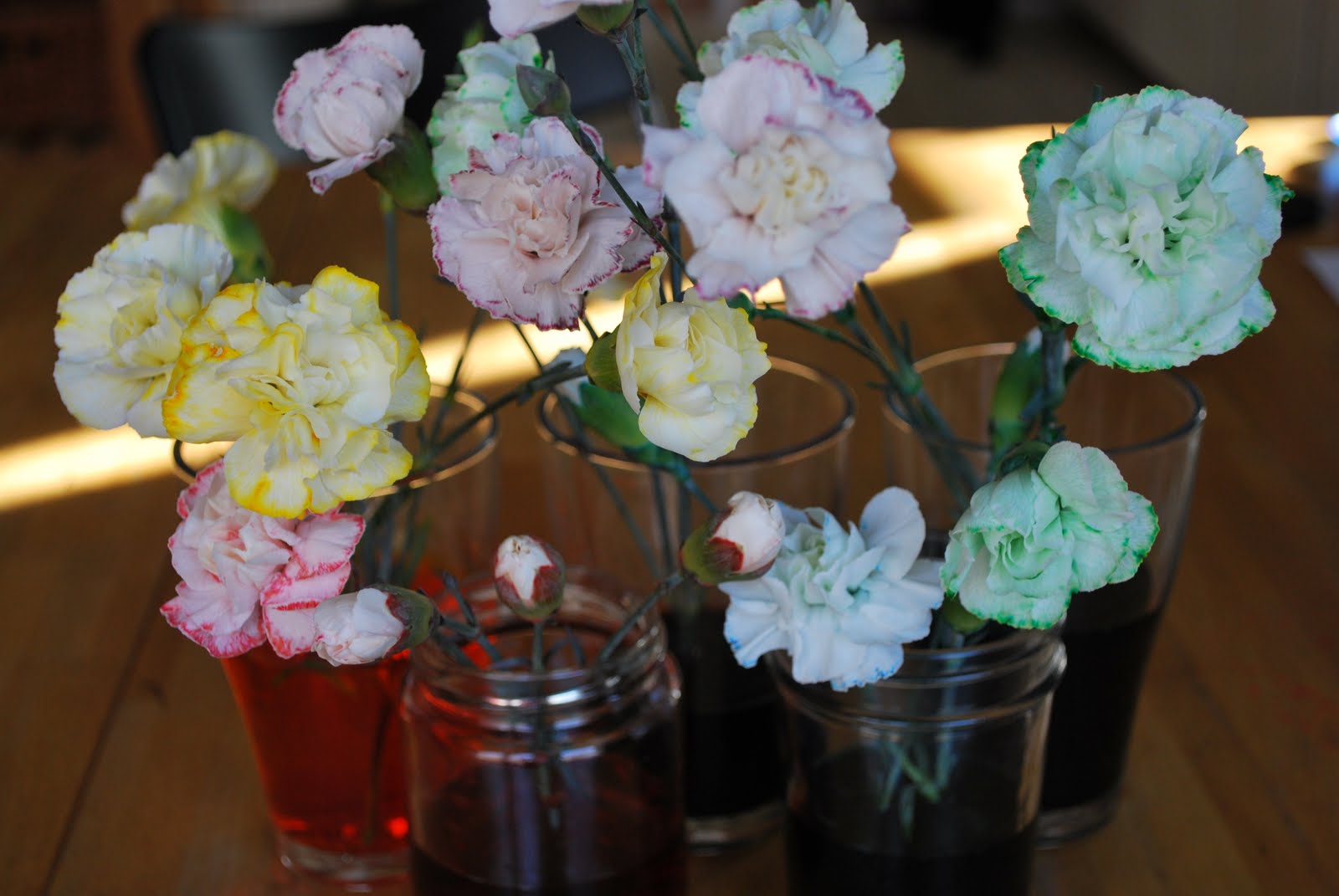 Greenish Thumb Science Expo Project coloring carnations