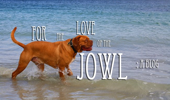 For the Love of the Jowl: a Blog