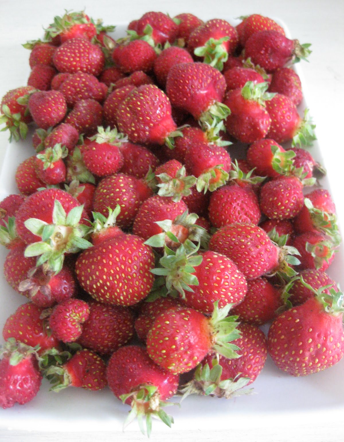 Northeast Locavore Tristar Strawberry Ice Cream