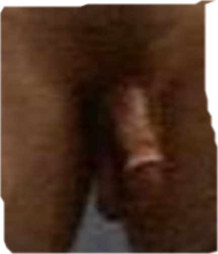 [Christopher+Maloni+penis.png]