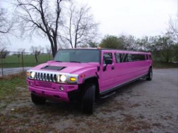 the used cars for sale and