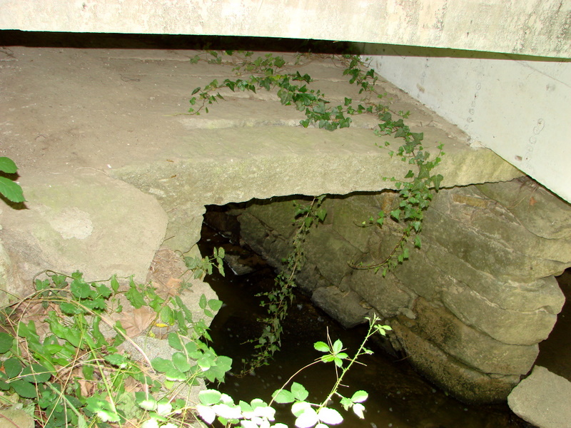 [DSC01729.JPG]