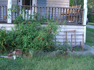 Well that was... an idea...: Rabbit-proof fence?