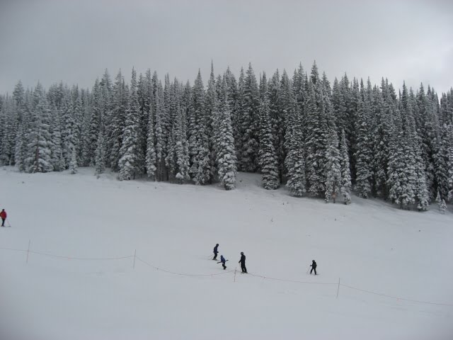 [IMG_1412.JPG]