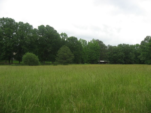 [IMG_0861.JPG]