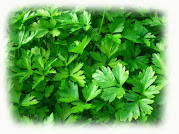 Parsley 2