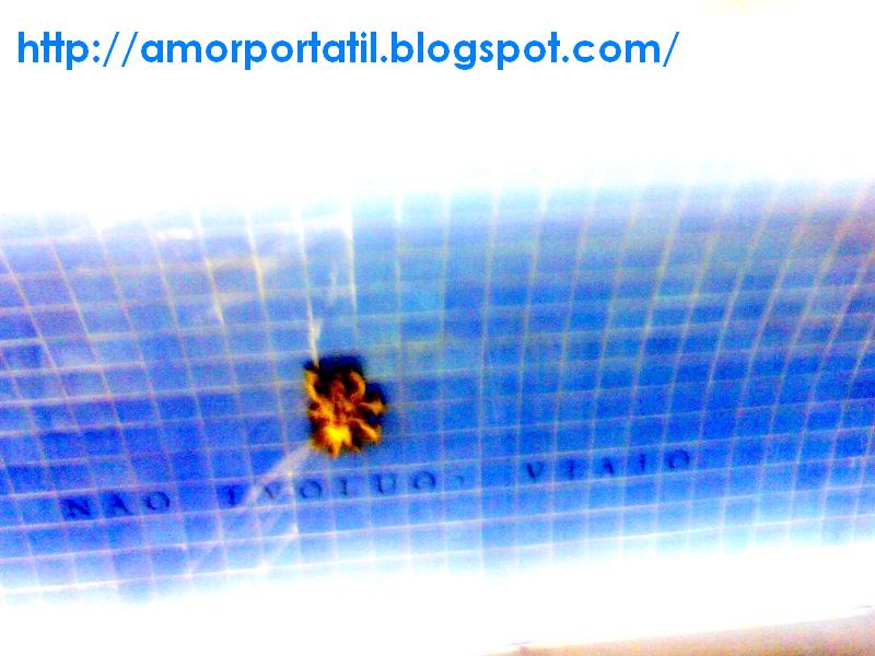 [Imagem+013.jpg]