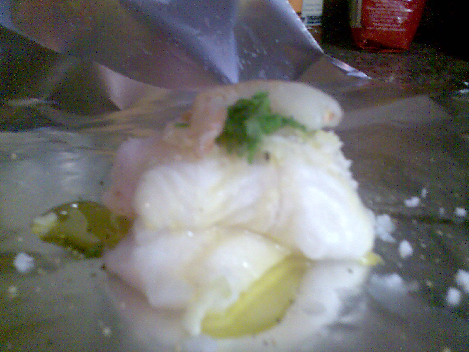 [peixe2.jpg]