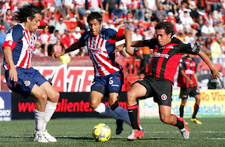 xoloitzcuintles tijuana