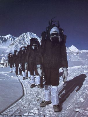 Save innocent and cute siachen glaciers from war