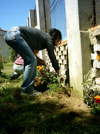 TRABAJAMOS EN LA HUERTA!!!