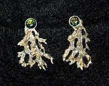 "Coral earrings"