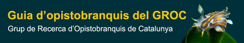 Si l'image tarde � s'afficher, cliquez sur le lien