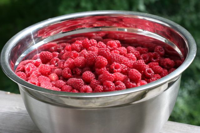 [Raspberries.jpg]