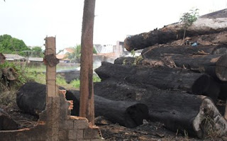 As toras incendiadas. Foto de Martha Costa