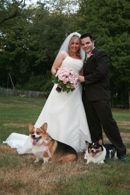 [corgiweddinglast]