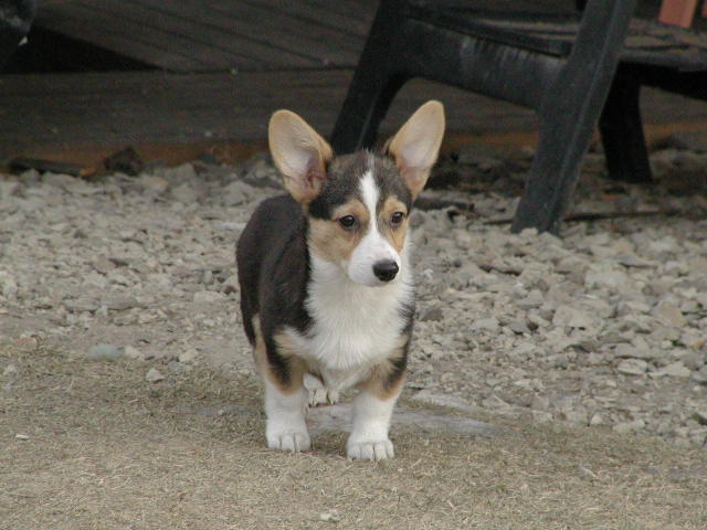 [tootsierollfirstday]