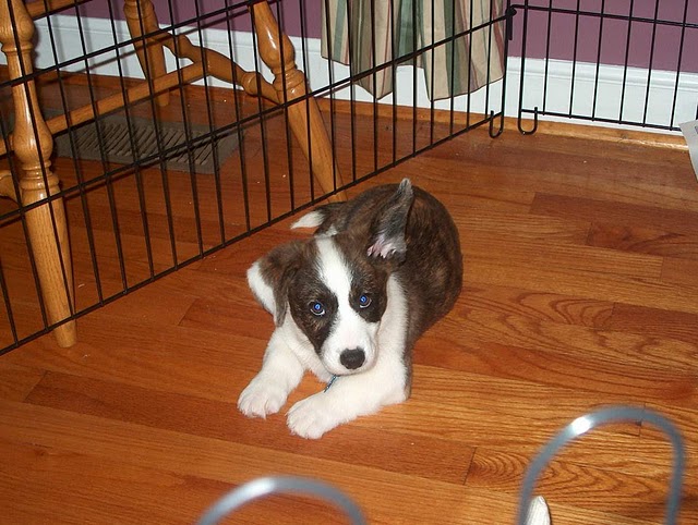 [spenceroneear10weeks]