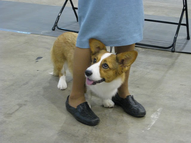 [scoutlookupcute]