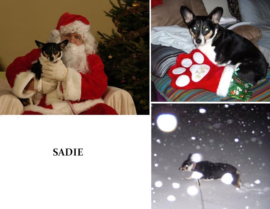 [SADIEXMAS1.jpg]