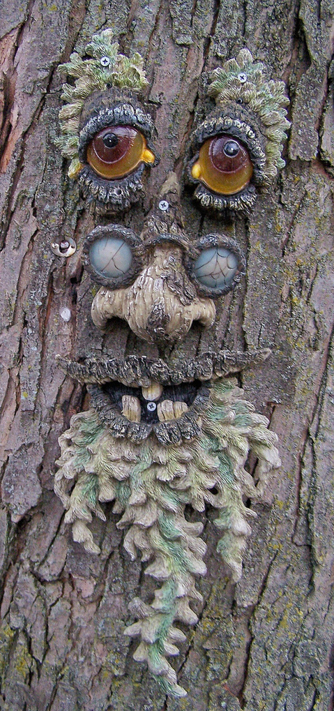 Tree Faces | dreams happy things tree faces Tree Faces | dreams happy things tree faces