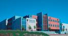 California State University