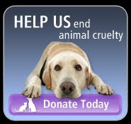 ASPCA.org
