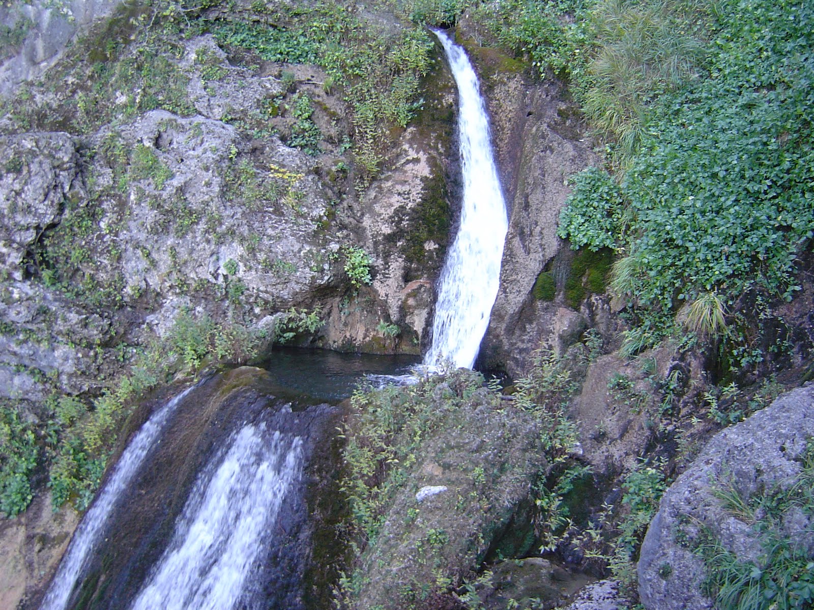 [DSC04528.JPG]