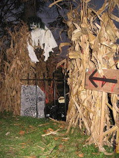 we use 100s of dried corn stalks from the local farmers to form a scary pathway that takes trick or treaters from one haunt zone to the next which in turn - Halloween Corn Stalks we use 100s of dried corn stalks from the local farmers to form a scary pathway that takes trick or treaters from one haunt zone to the next which in turn - Halloween Corn Stalks