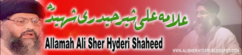 [علامہ علی شیر حیدری  رح] Allama Ali Sher Hyderi