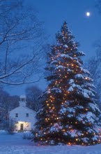**9 Weeks Until Christmas**