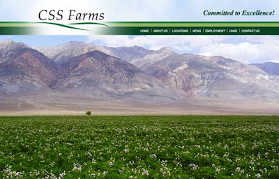 Beautiful field of green plants with flowers, large mountains in the background