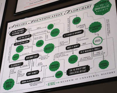 Species Identification Flowchart poster in green and black