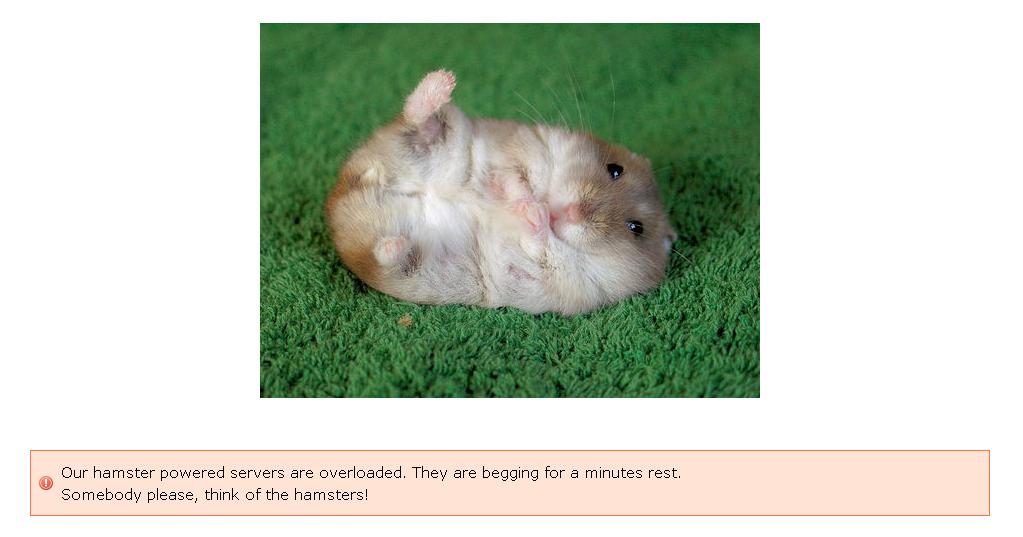 [hamster.JPG]