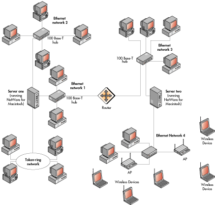 computer network types