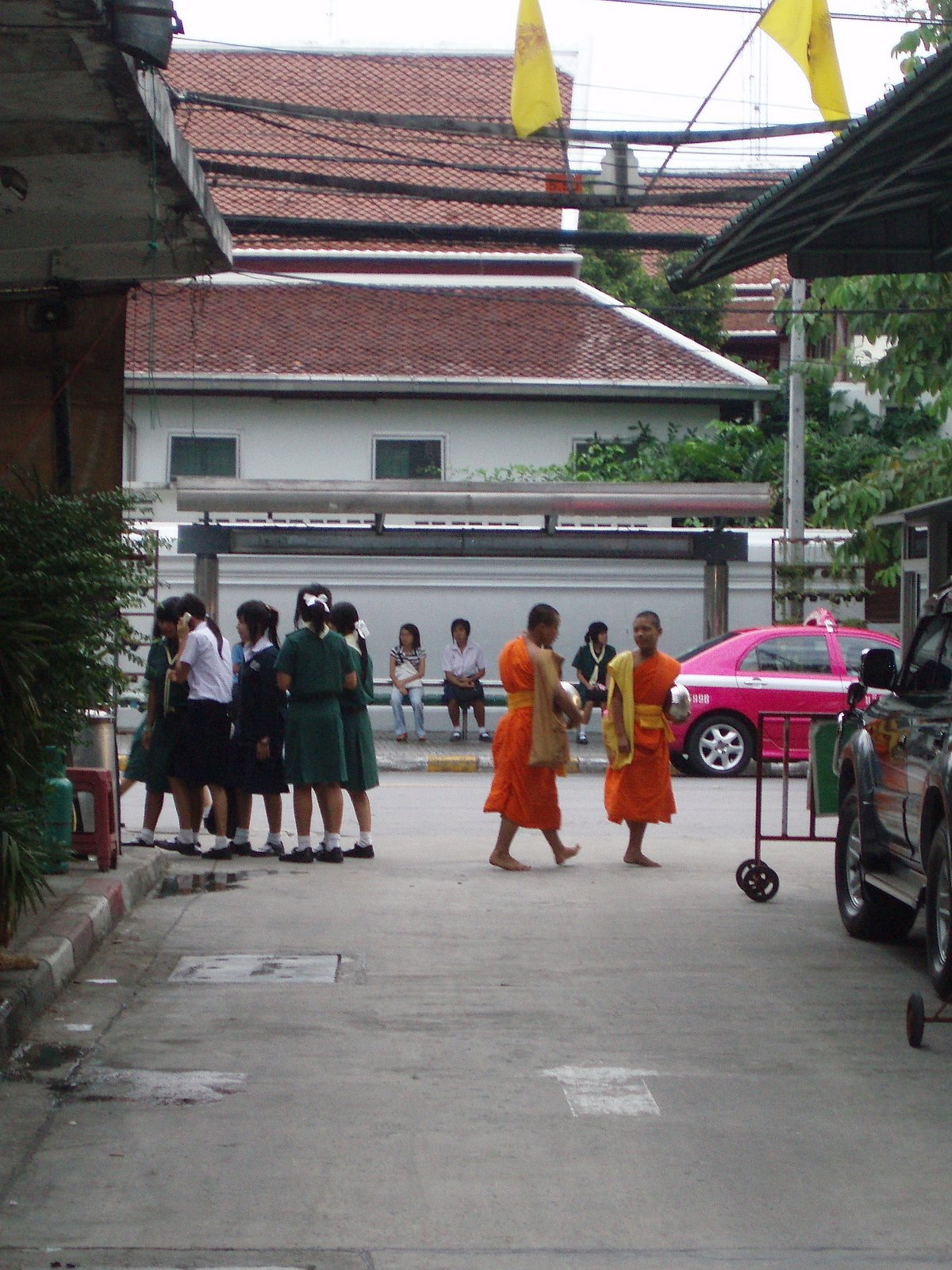 [PB250399.JPG]