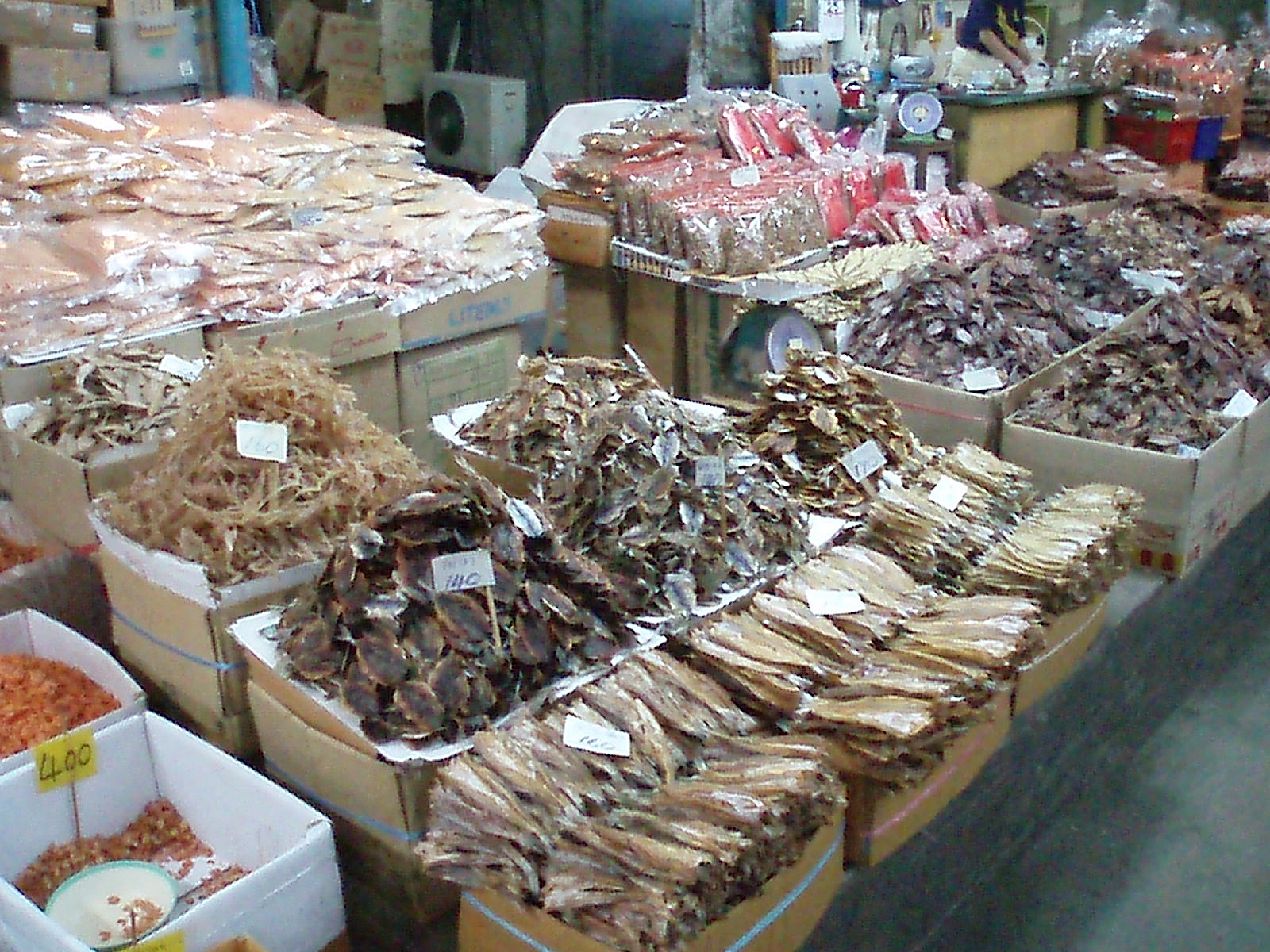 [PB250438.JPG]