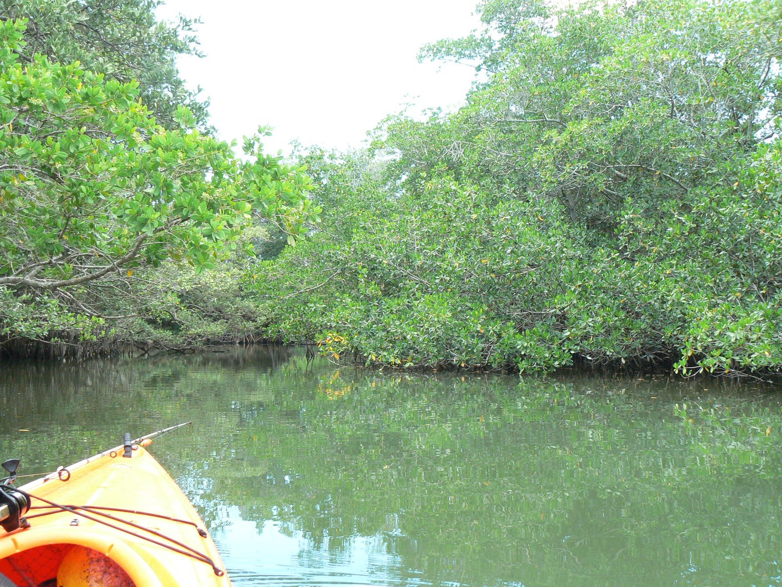 [P1050020.JPG]