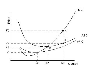 Summary: AP Microeconomics