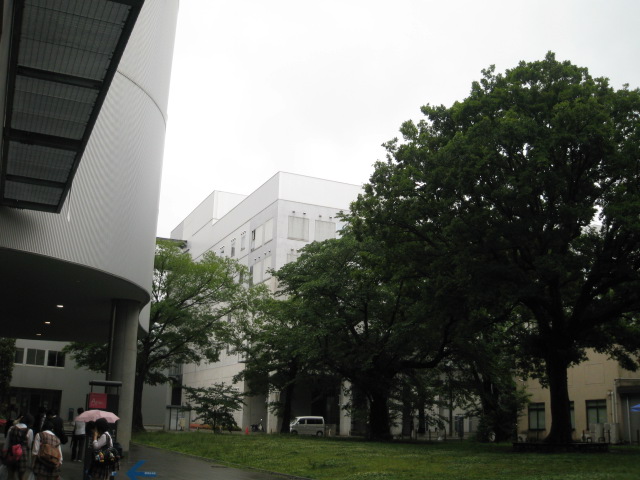 [IMG_1308.JPG]