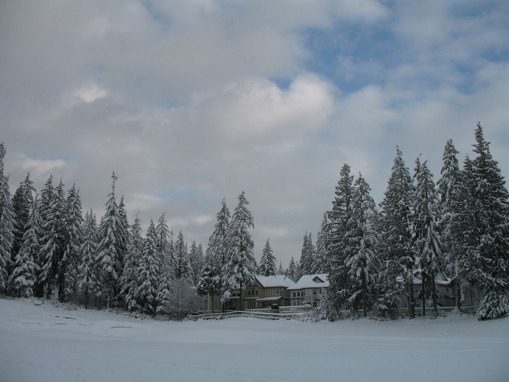 [307859294_31c4ad7a21_b.jpg]