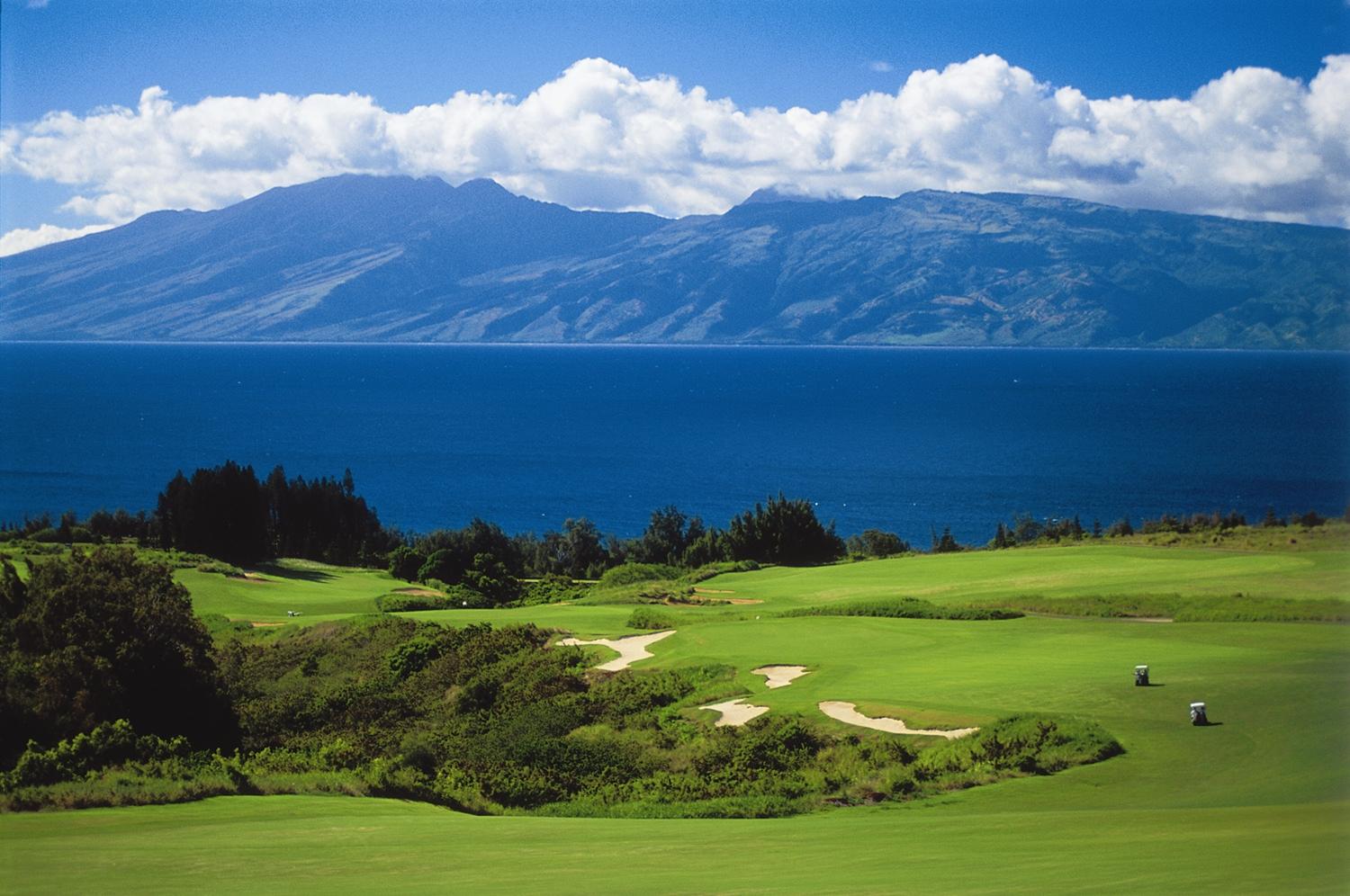 [kapalua+plantation+18.jpg]