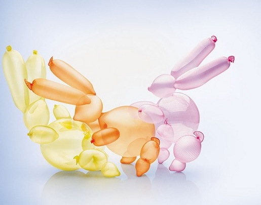 condom-rabbits.jpg