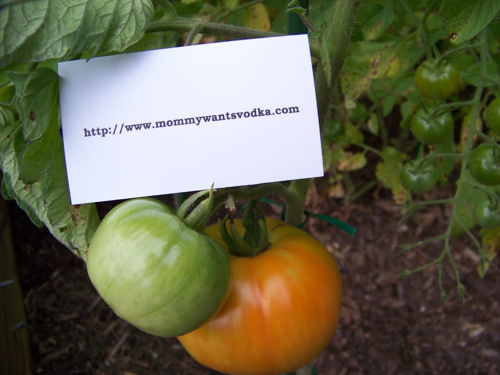 [AuntBeckyVisit+(2).jpg]