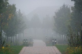 lasalle street morning fog/mist | simple pretty